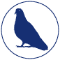 Bird Treatment