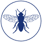 Wasp Treatment