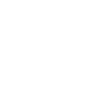 Cluster Flies Treatment
